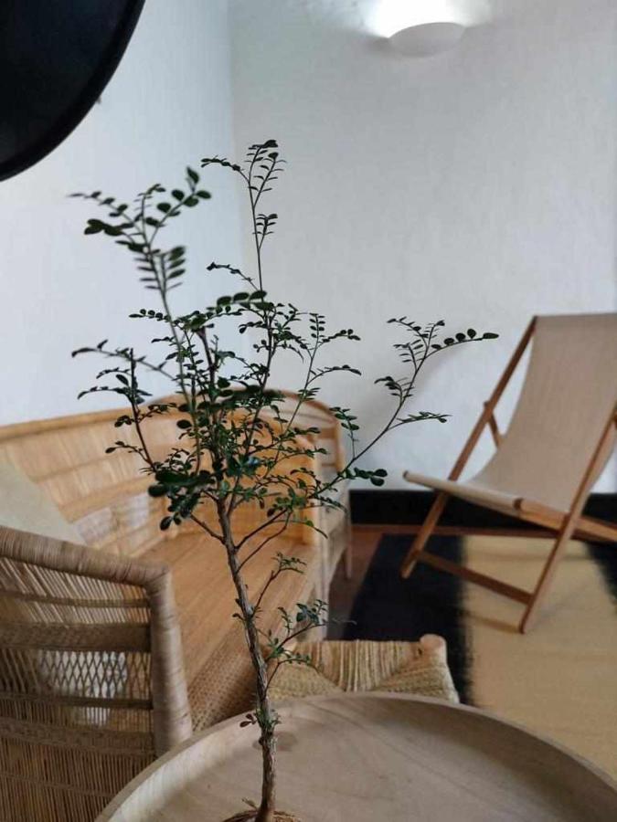 Casa Yooj Designers House In Teguise Leilighet Teguise  Eksteriør bilde